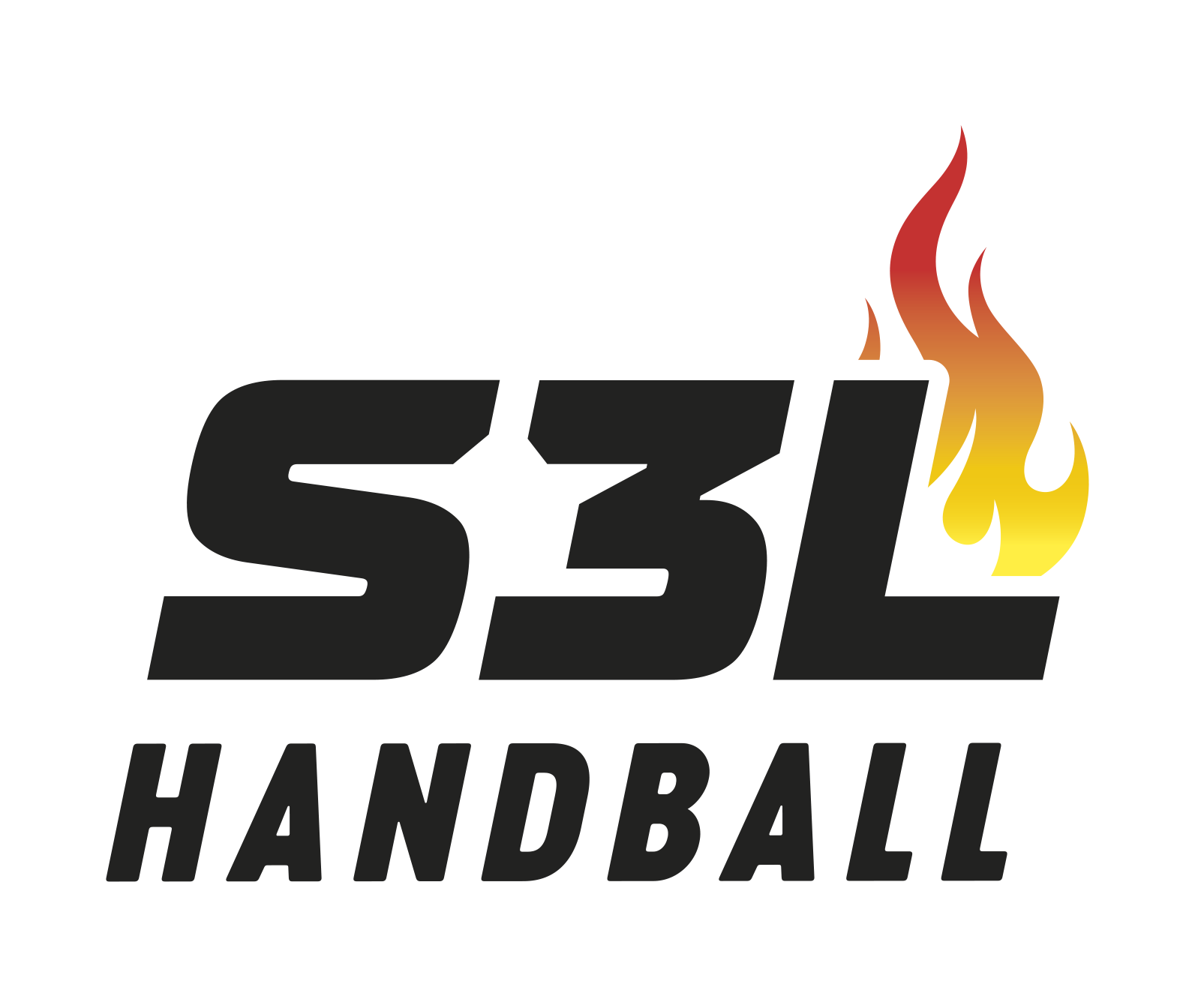 Logo Saase3 Leutershausen Handball 3