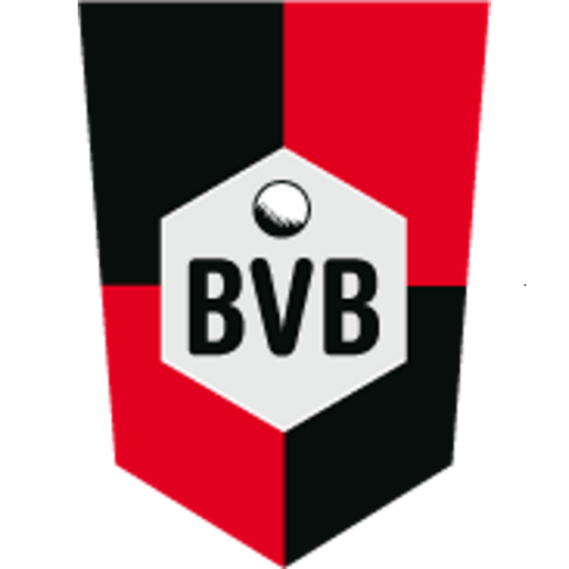 Logo SV BVB 49 III