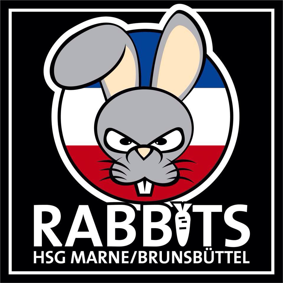 Logo HSG Marne/Brunsbüttel