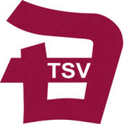 Logo TSV Deizisau 3