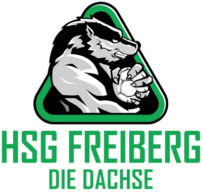 Logo HSG Freiberg II