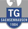 Logo TG 04 Sachsenhausen 2