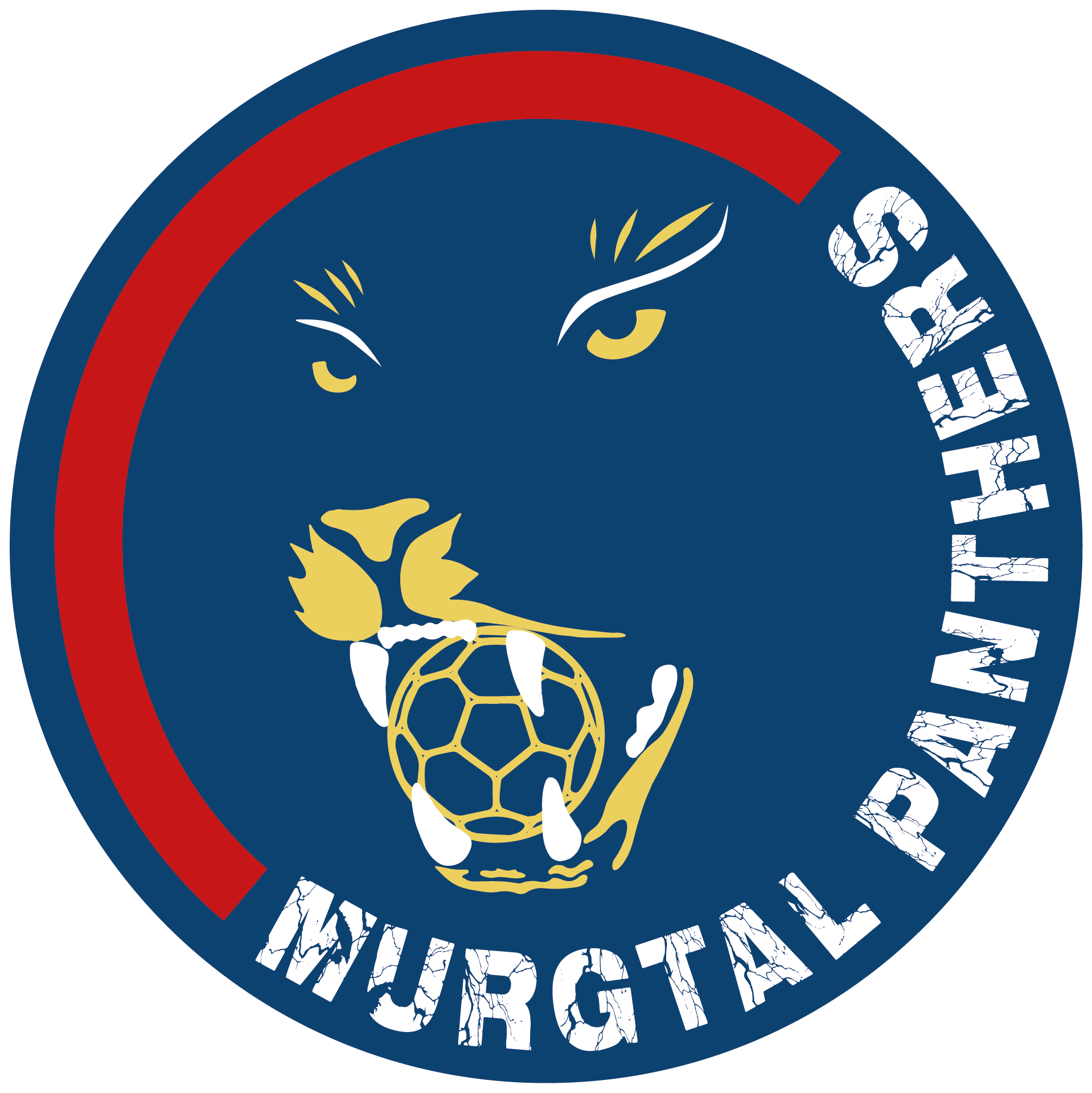 Logo Murgtal Panthers 2