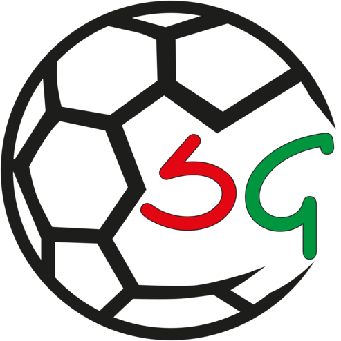 Logo SG Neuenkirchen/Varensell