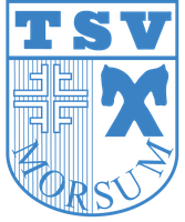 Logo MSG Morsum/Intschede