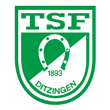 Logo TSF Ditzingen 4