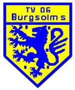 Logo TV Burgsolms 1
