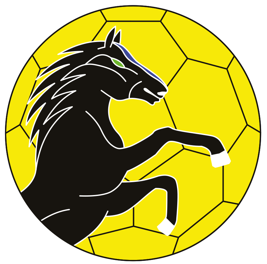 Logo Team Stuttgart 2