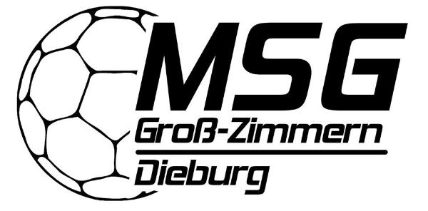 Logo mJSG Gr.Zimmern/Dieburg II
