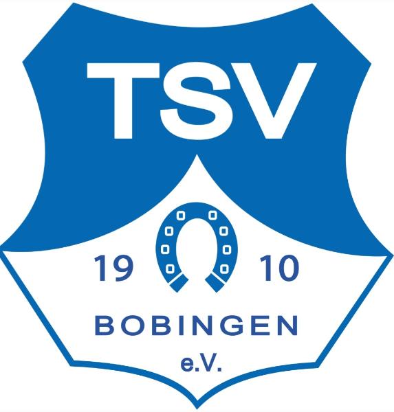Logo TSV Bobingen II
