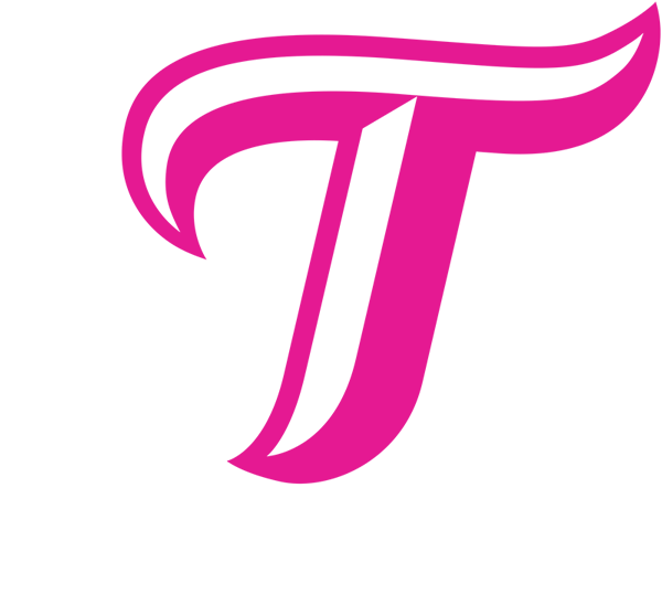Logo HSG Stuttgart-Metzingen