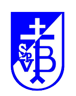 Spvgg Bissingen