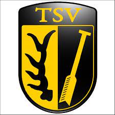 Logo TSV Oberriexingen 1900