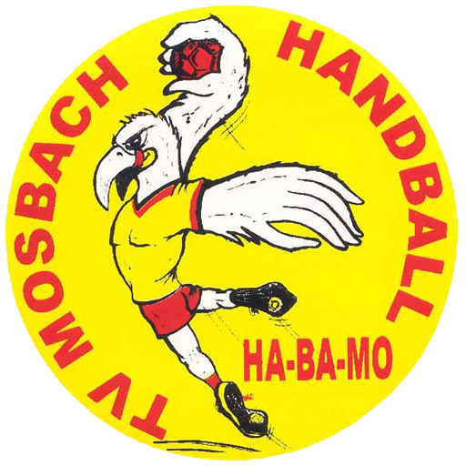 Logo TV Mosbach